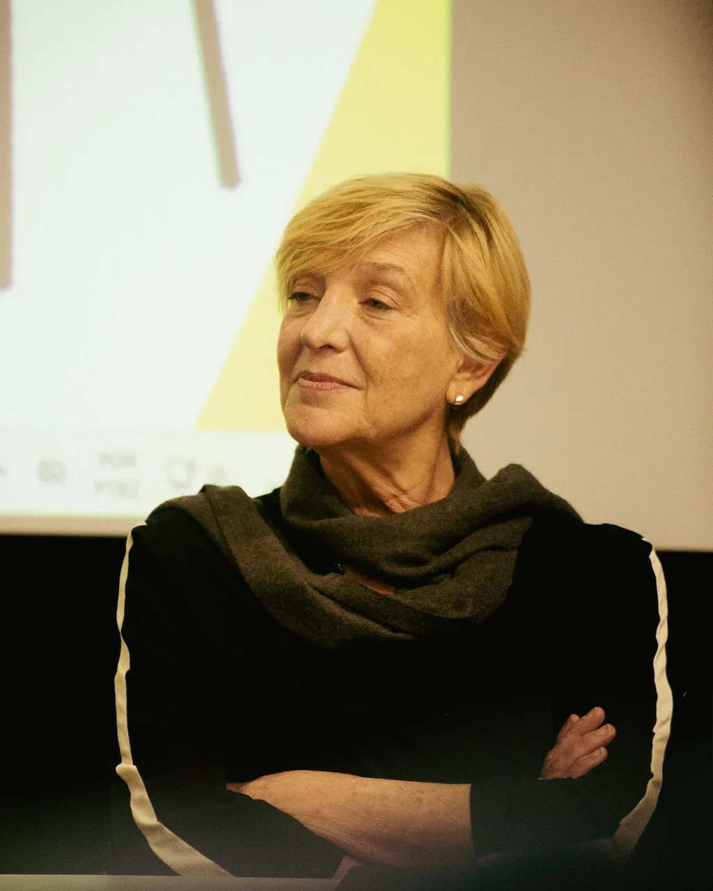 Giselle Beiguelman